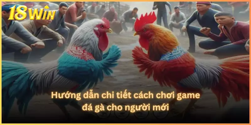 Hướng dẫn chi tiết cách chơi game đá gà cho người mới