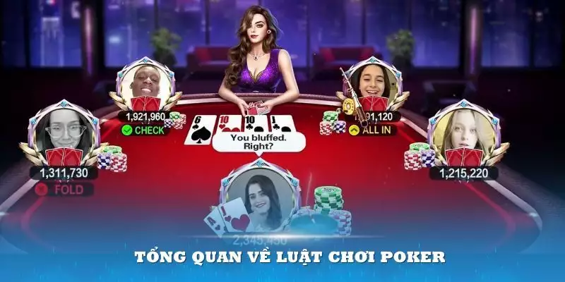 Hướng dẫn chi tiết cách chơi bài poker dành cho người mới