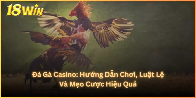 Đá Gà Casino_ Hướng Dẫn Chơi, Luật Lệ Và Mẹo Cược Hiệu Quả